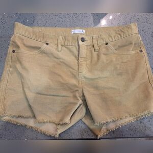 Carve Designs Tan Corduroy Shorts